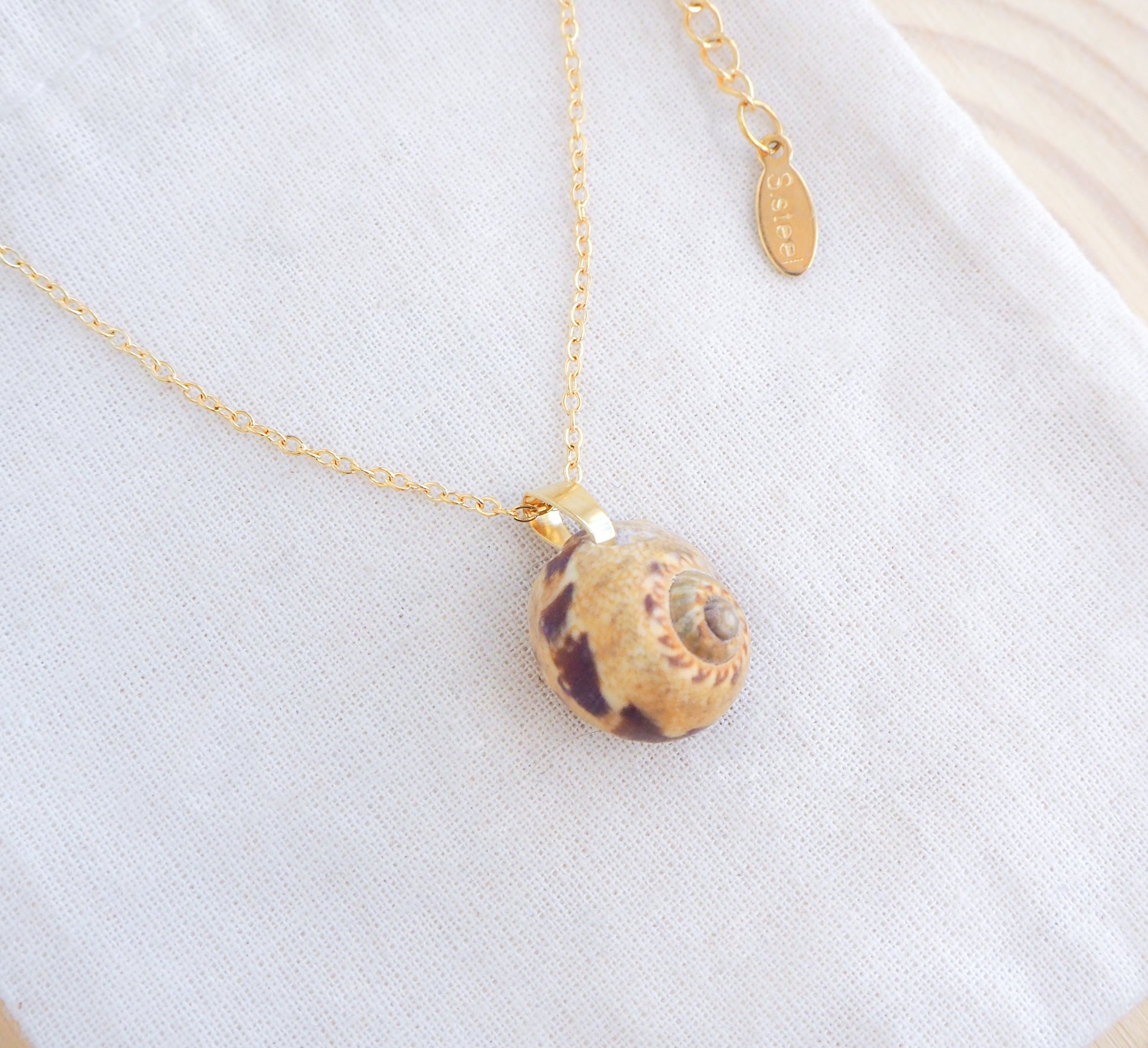 Moon Shell Gold Necklace on display side view