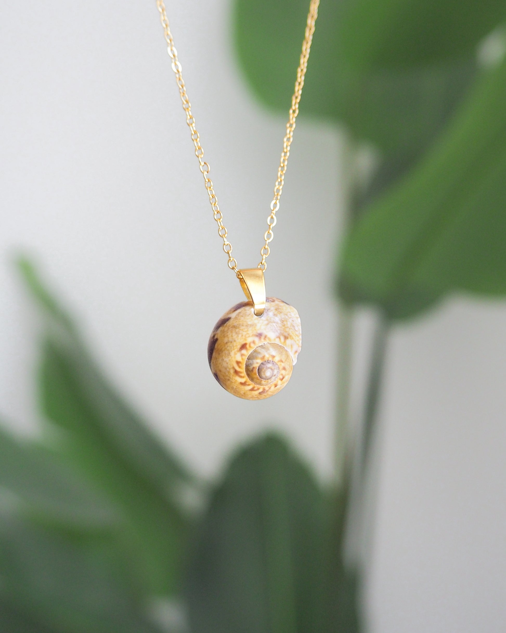 Moonshell Necklace, Alders Necklace Shell