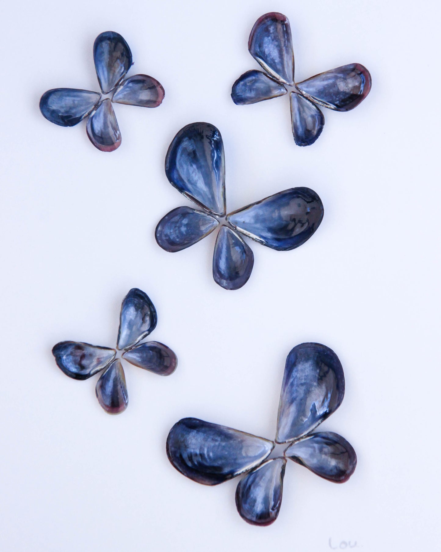 Mussel butterfly seashell art, artwork shells Portugal, sea by lou, coastal wall decor, beach artwork Butterfly, seabylou