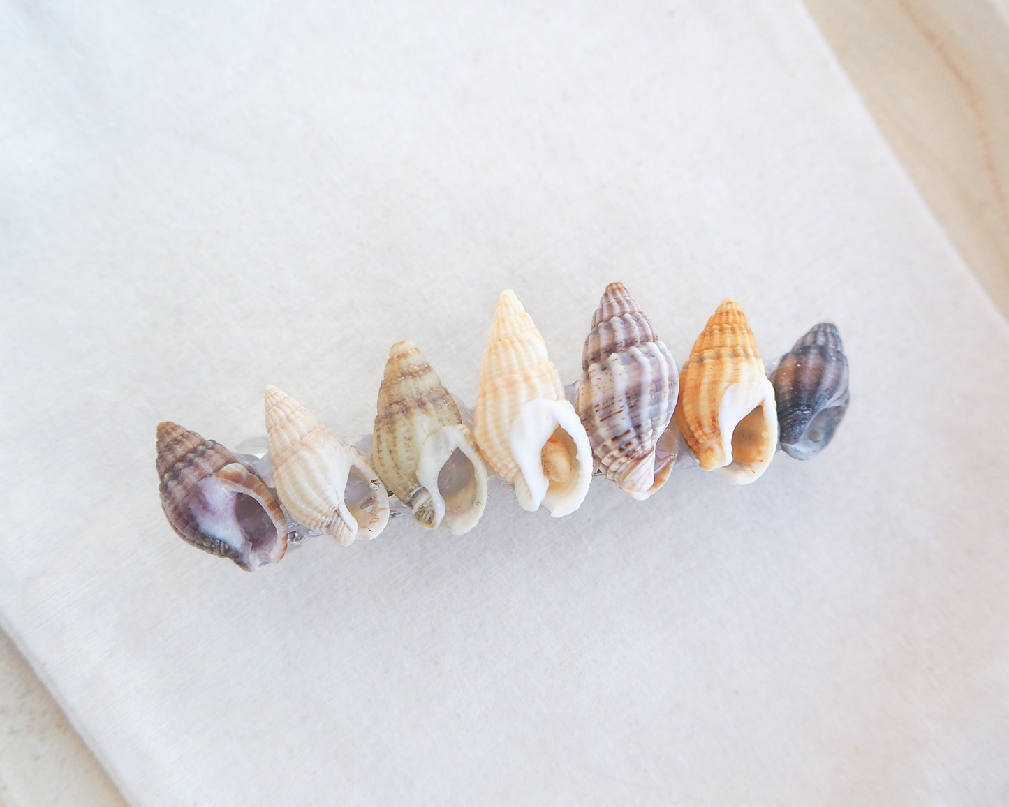 Netted Dog Whelk Shells Rainbow Hair Clip Barrette II on display, Boho Seashell Beach Clip from Portugal, Handpicked Real Shells, Seashell Hair Decoration, Bohemian Seashell Wedding Hair accessoires, Coastal Christmas gift, Beach Wedding Hair