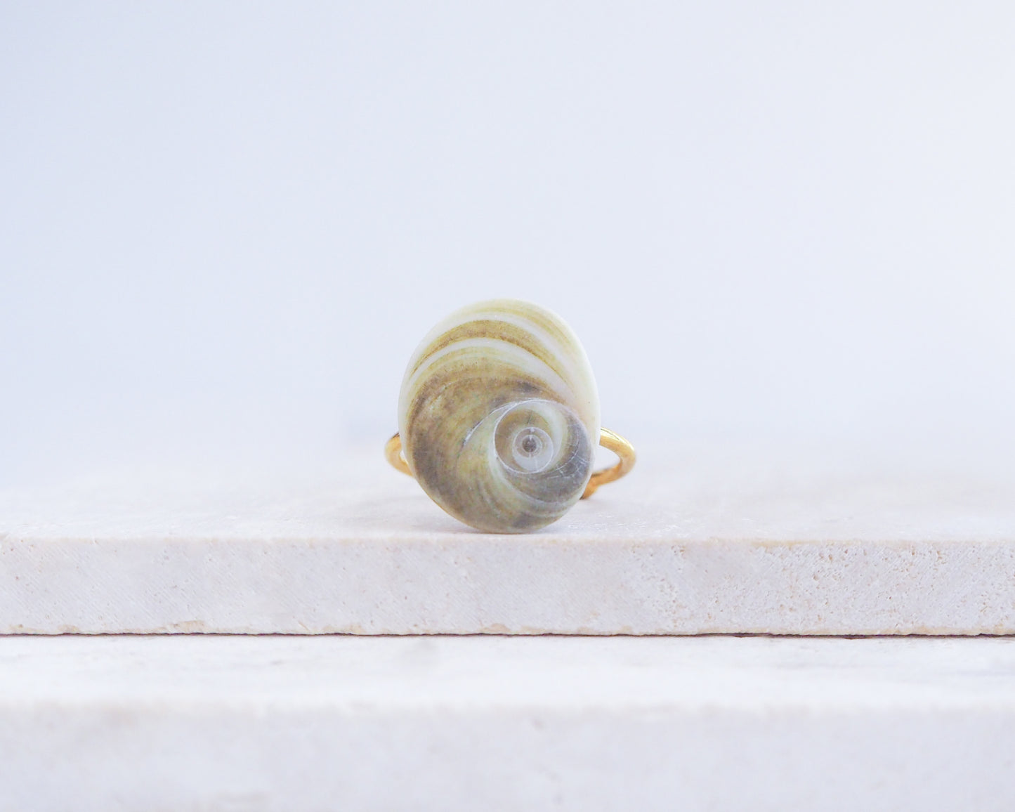 Olive Green Eye of Saint Lucia Shell Gold Ring displayed on stone front view