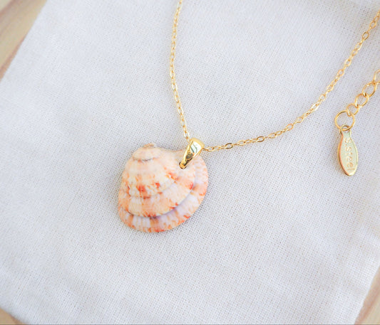 Orange Coral Venus Shell Gold Necklace on display