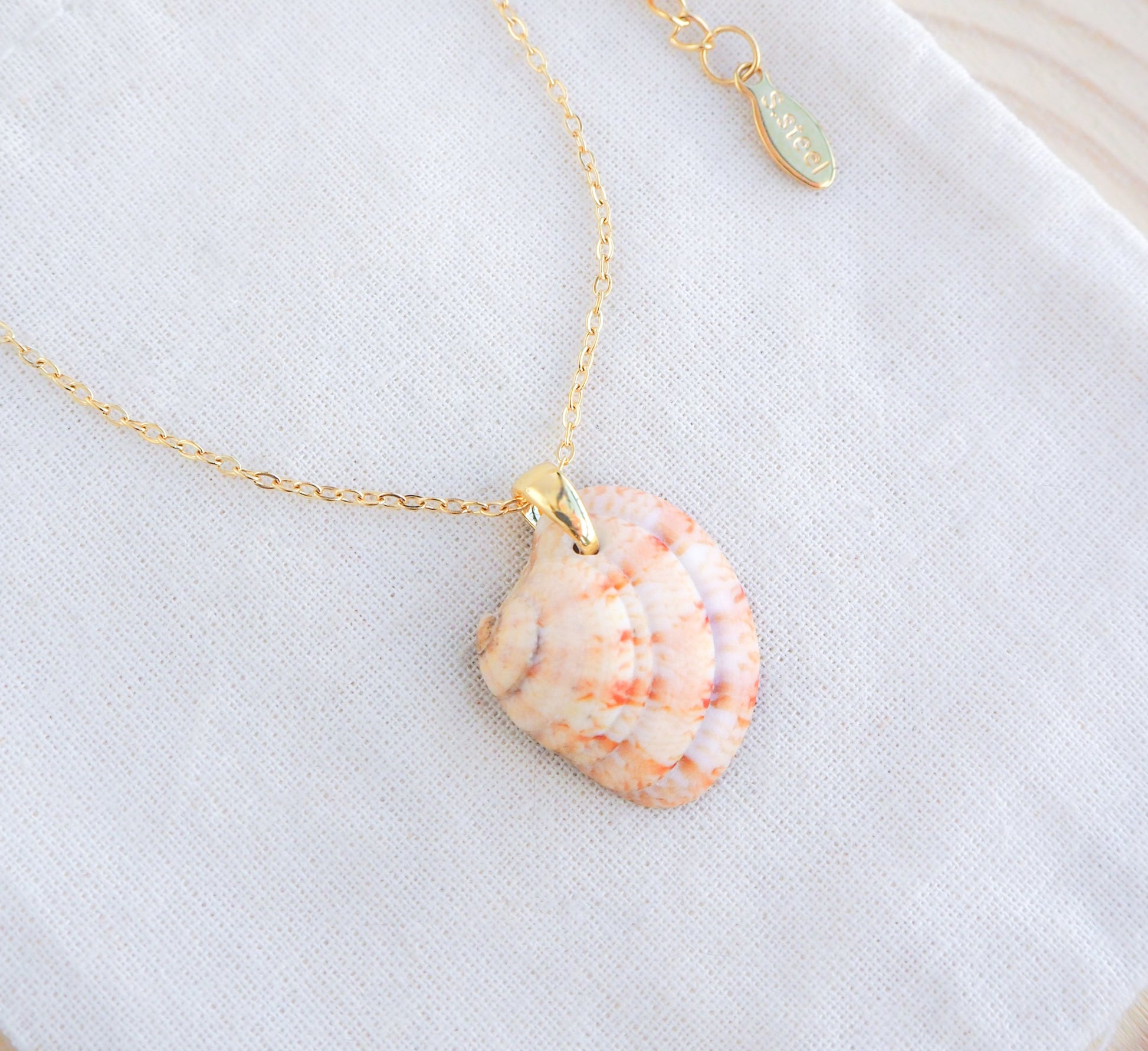 Orange Coral Venus Shell Necklace on display