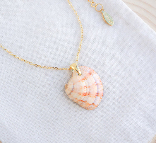 Orange Coral Venus Shell Necklace on display