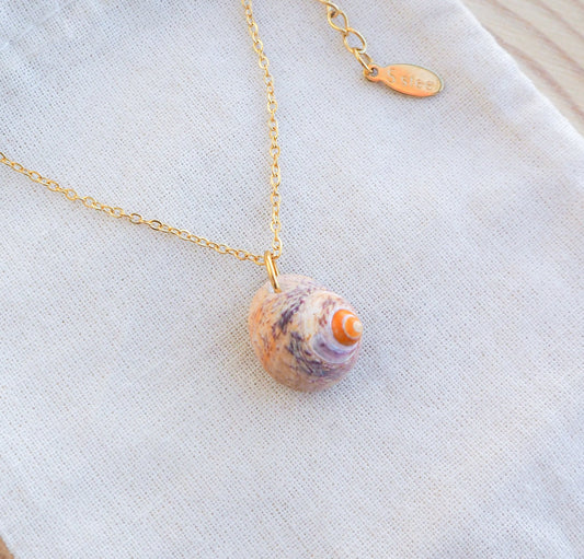 SEASHELL NECKLACE ~ Orange Lined Top Shell