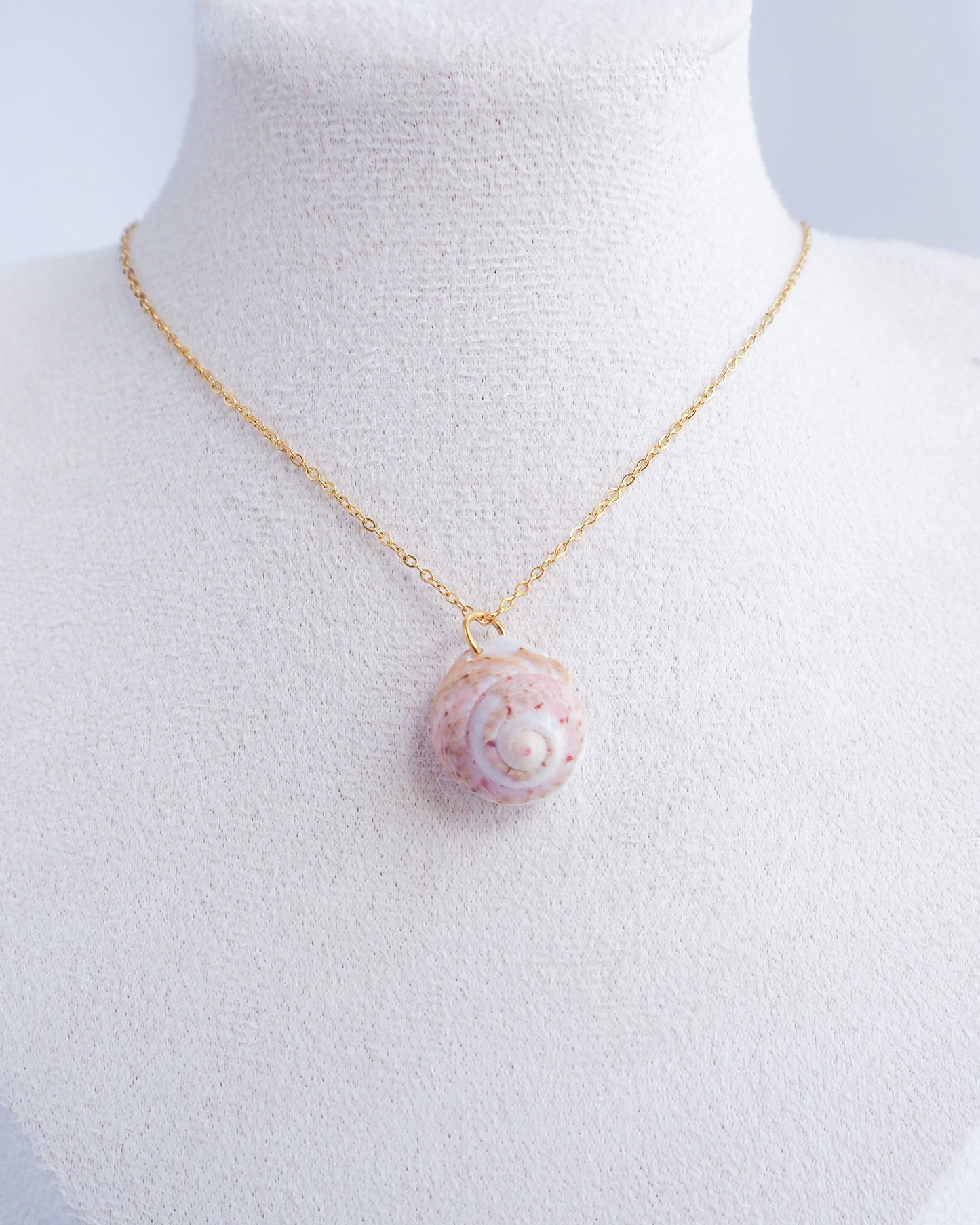 Pink White Shell Gold Necklace, Pink White Magus Top Shell from Portugal on neck