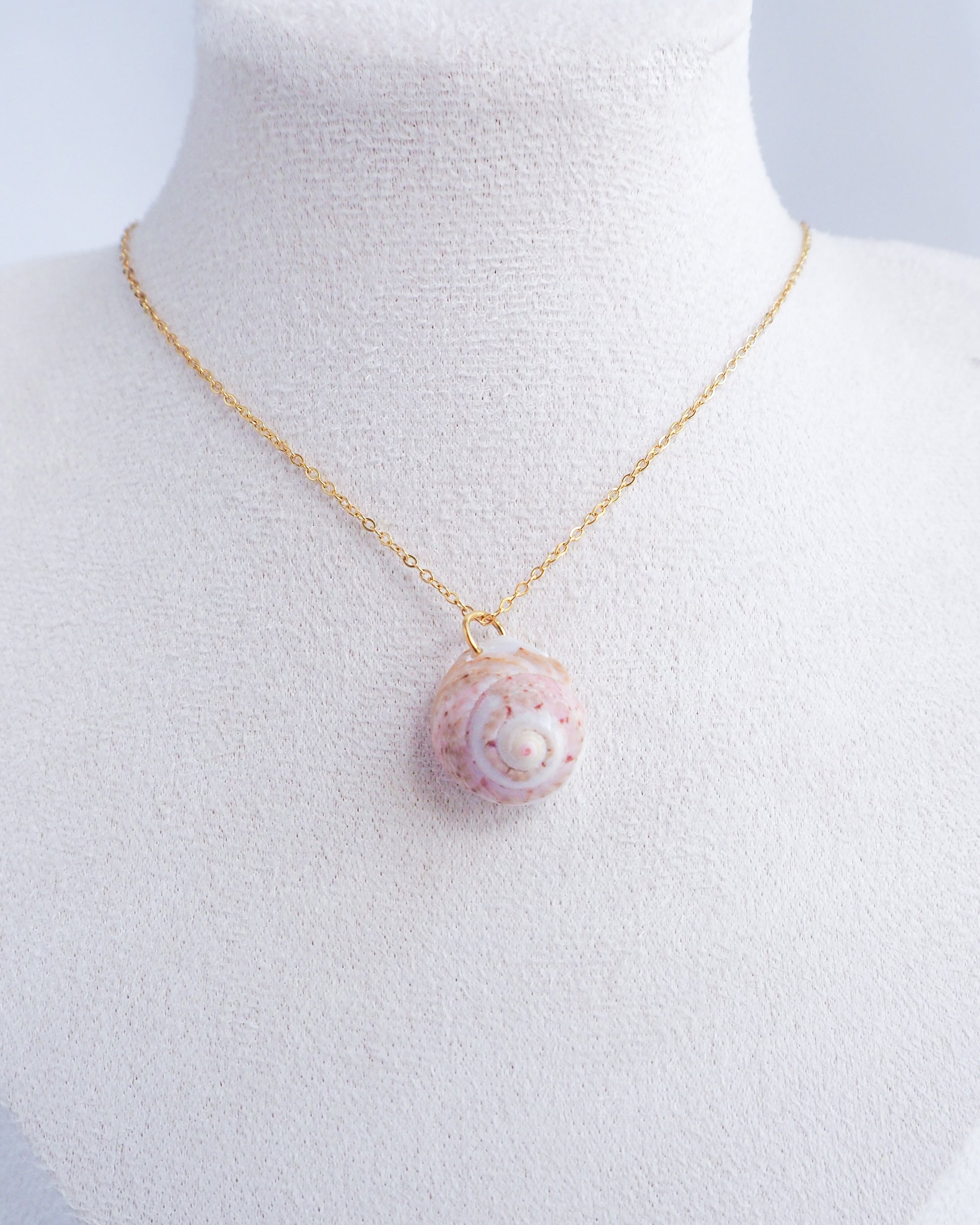 Pink White Shell Gold Necklace, Pink White Magus Top Shell from Portugal on neck