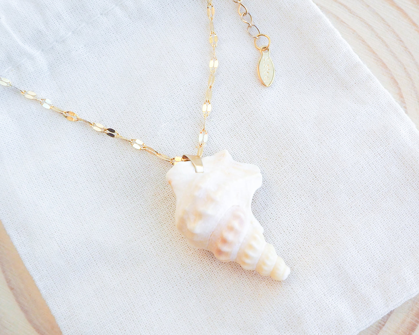 Pelican's Foot Shell Necklace Gold Deluxe on display