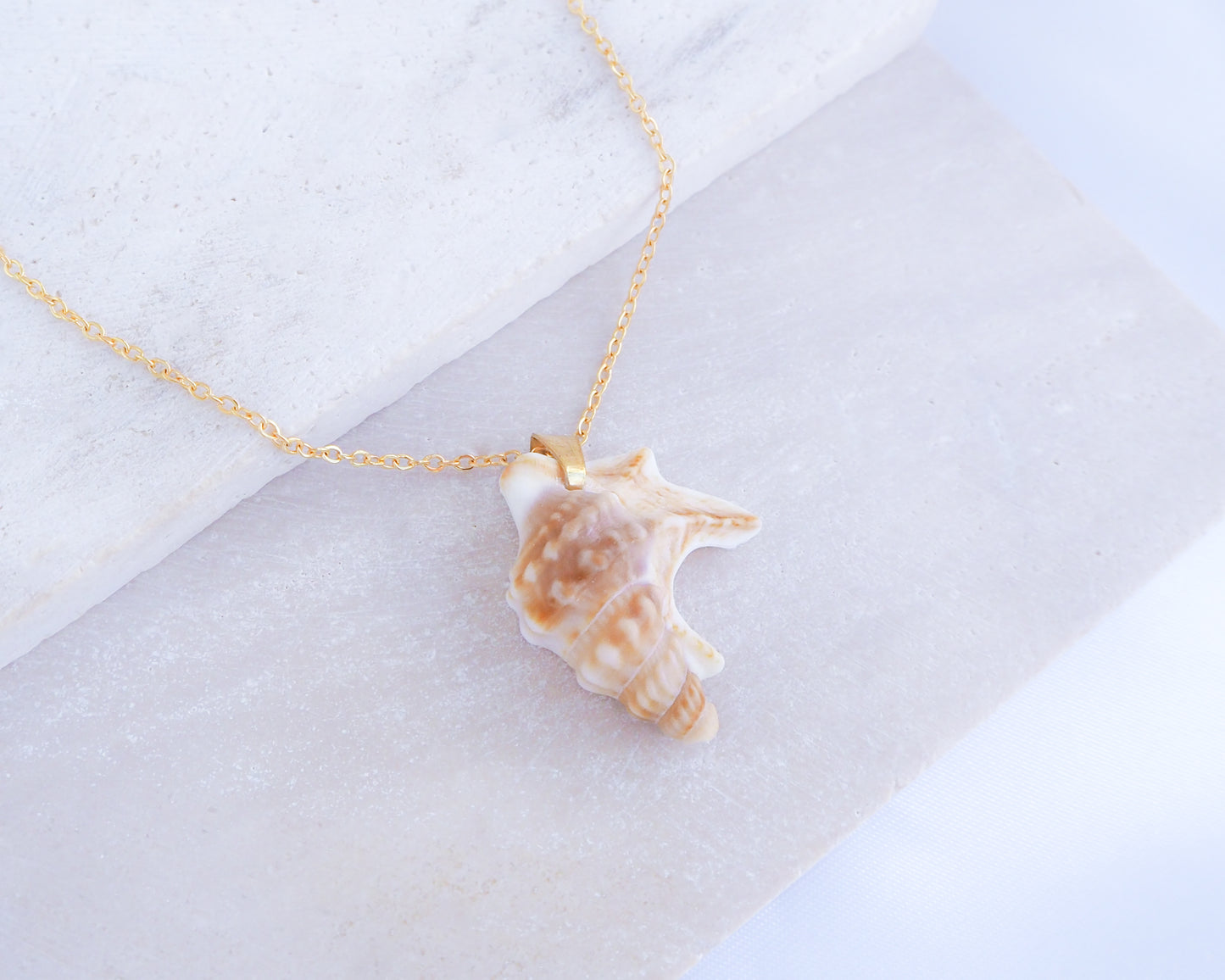 Pelicans Foot Gold Necklace from Portugal on stone