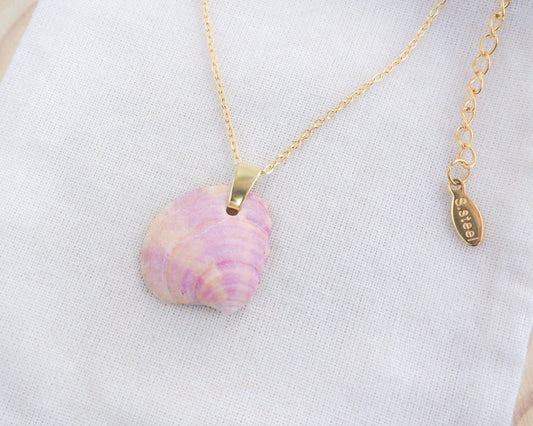 Side view Gold Pink Orange Venus Shell Necklace on display, Banded Venus Shell from Portugal, Shell jewelry, Sea by Lou
