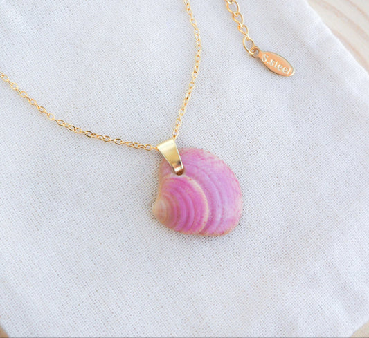 Pink Raspberry Venus Shell Necklace on display