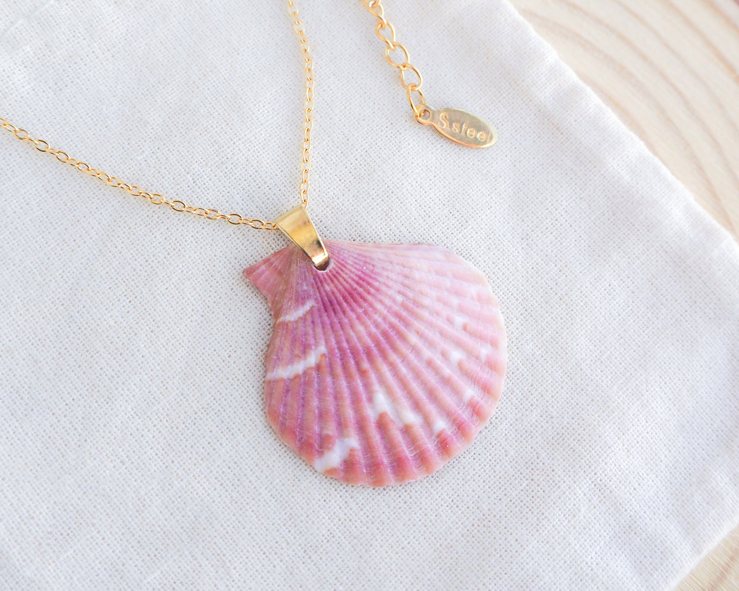 Pink Scallop Shell Gold Necklace on display, Scallop Shell from Portugal