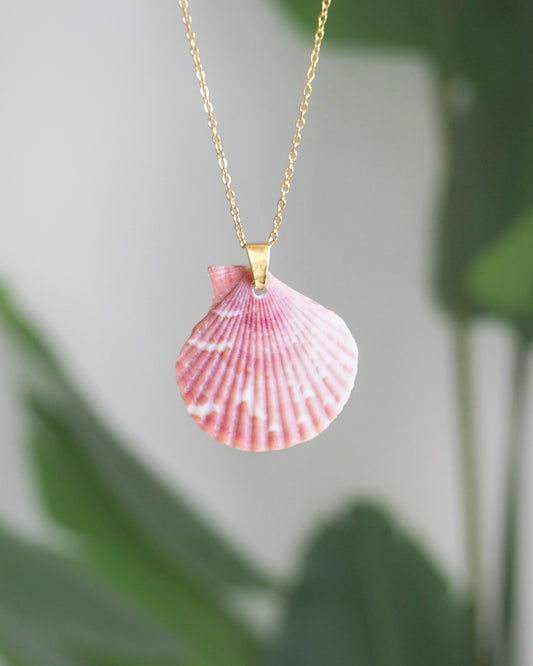 Front view Pink Scallop Shell Gold Necklace