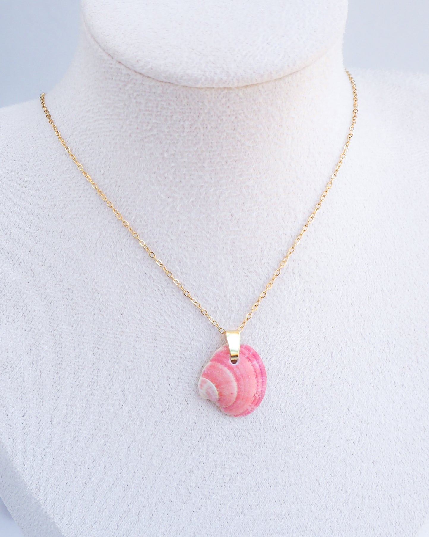Pink Venus Shell on Gold Necklace displayed on nec, close up. Sea by lou, Pink Shell from Portugal