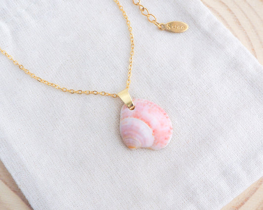 Pink Venus Shell Gold Necklace III on display