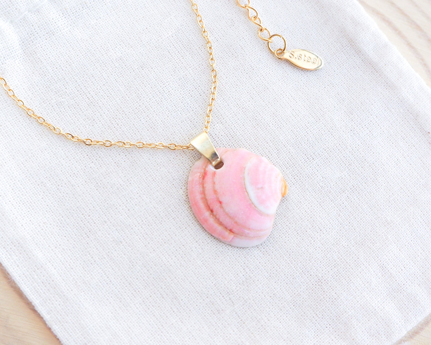 Necklace with a pink venus shell from portugal on a white background
