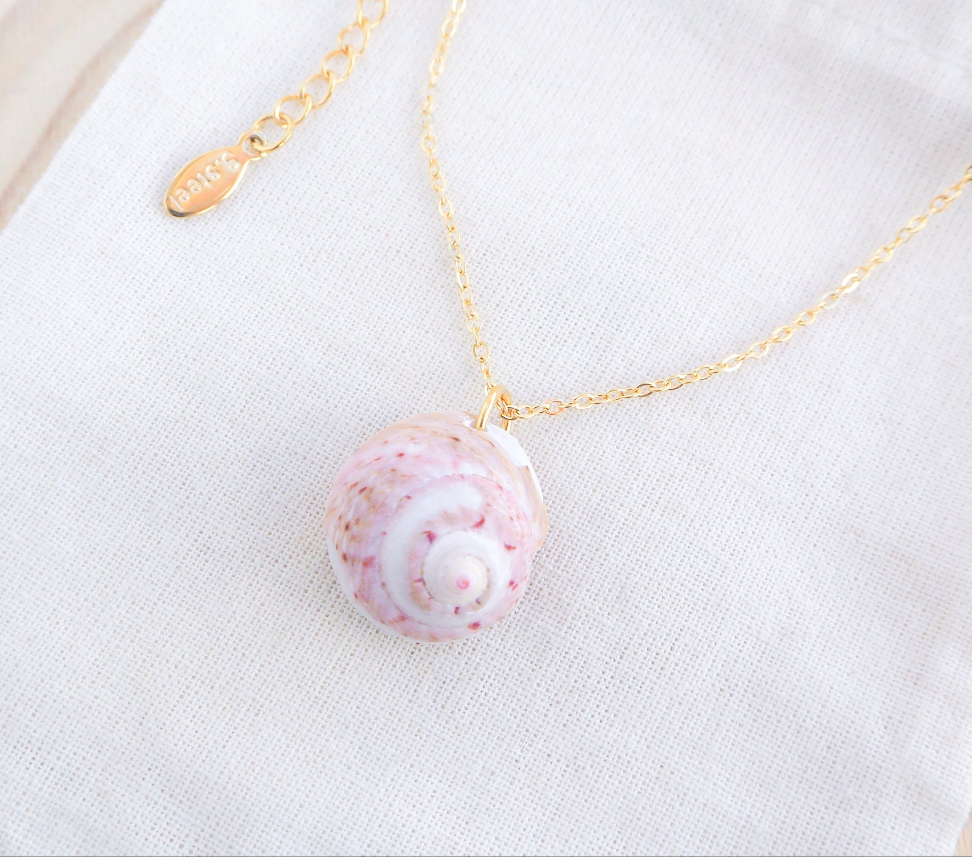 Pink White Shell Gold Necklace, Pink White Magus Top Shell from Portugal on display