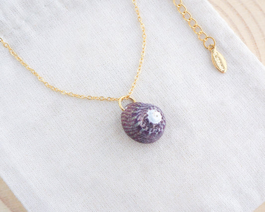 Plum Striped Top Shell Gold Necklace on display side view, Purple Striped Top shell from Portugal on gold chain