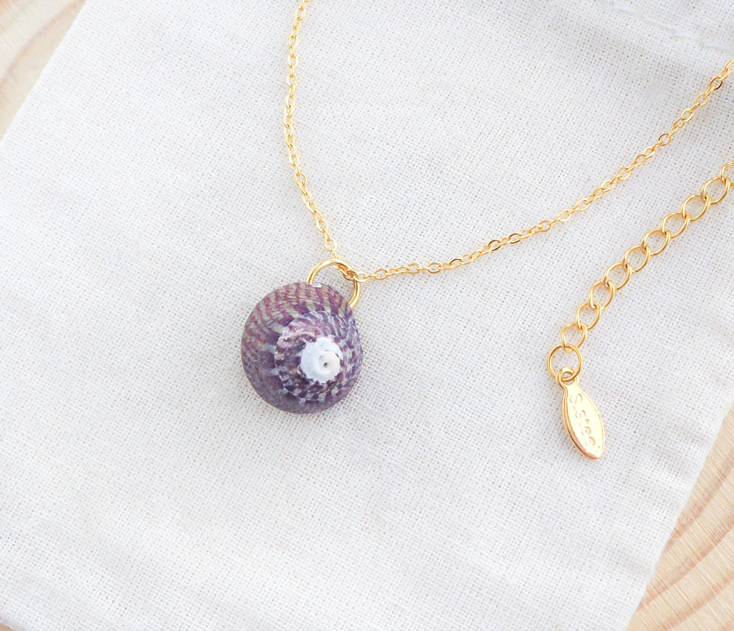 Plum Striped Top Shell Gold Necklace on display, Purple Striped Topshell from Portugal on gold chain