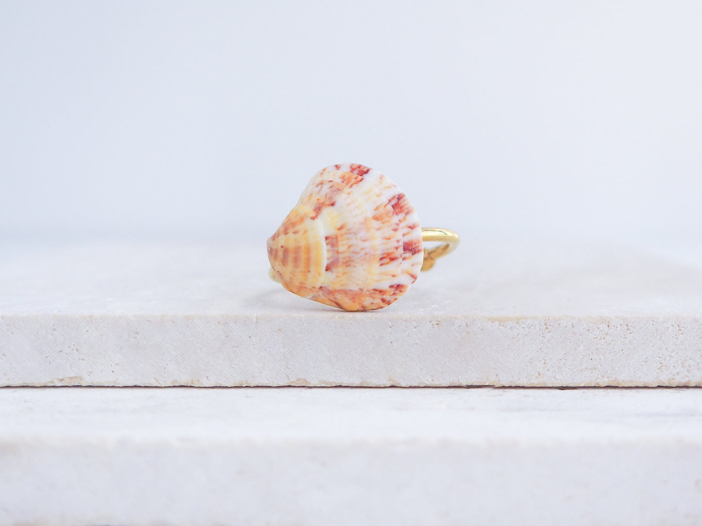 Coral Venus Shell Gold Ring from Portugal displayed on stone front view, patterned colorful pink orange red shell ring