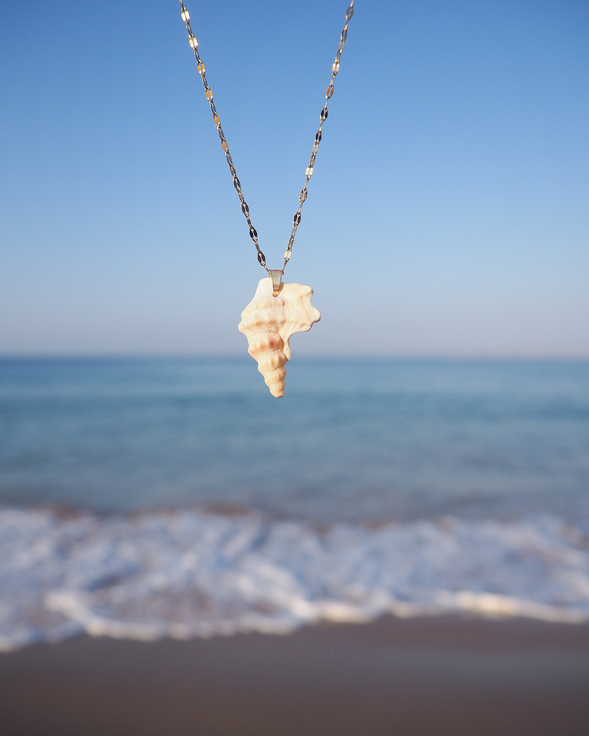 Seashell Pelican's Foot Shell Gold Deluxe Necklace with ocean background, Handpicked Pelicans Foot Shell from Portugal, Algarve Seashell Jewelry, Portuguese Beach