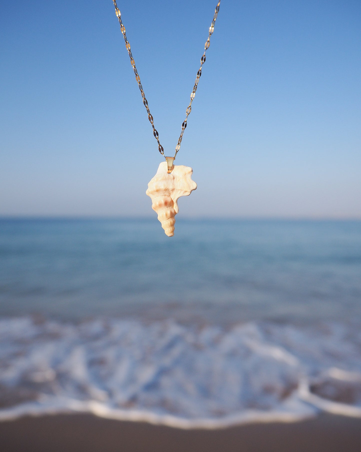 Close up of Pelican's Foot Shell Gold Deluxe Necklace with ocean background, Handpicked Pelicans Foot Shell from Portugal, Algarve Seashell Jewelry, Portuguese Beach