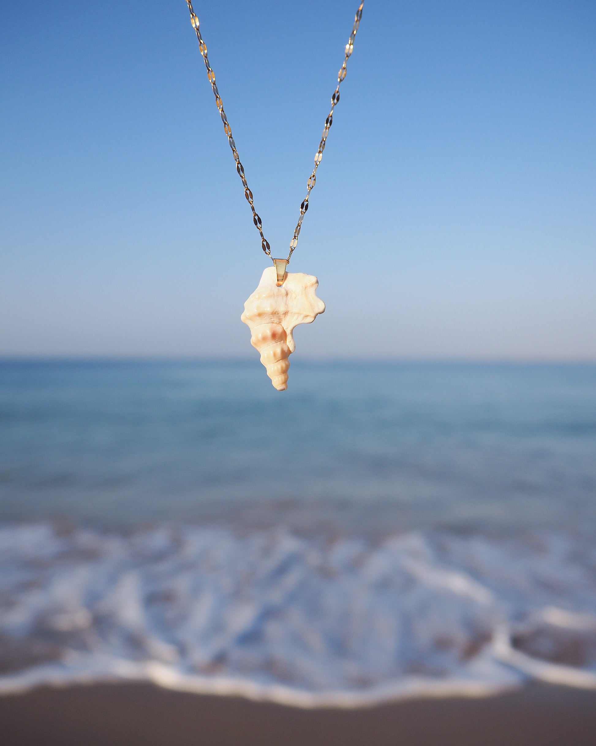 Close up of Pelican's Foot Shell Gold Deluxe Necklace with ocean background, Handpicked Pelicans Foot Shell from Portugal, Algarve Seashell Jewelry, Portuguese Beach