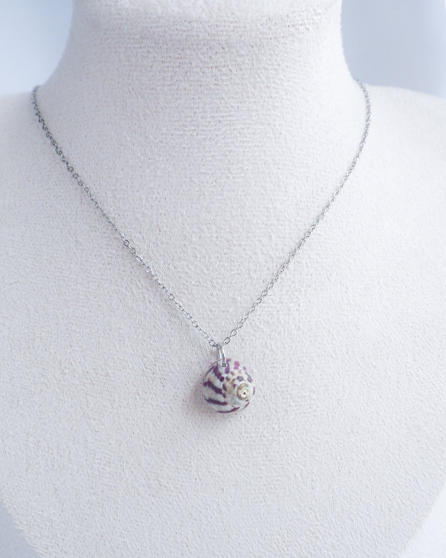 SEASHELL NECKLACE ~ Silver Purple Striped Top Shell