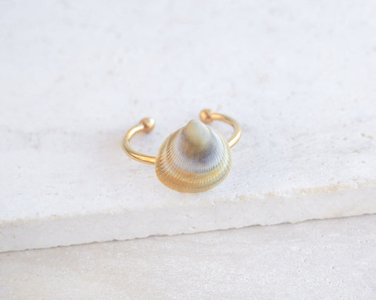 Side view of Rainbow Cockle Shell Gold Ring on stone displayed, 18k gold stainless steel adjustable ring, handpicked norwegian cockle shell from Portugal