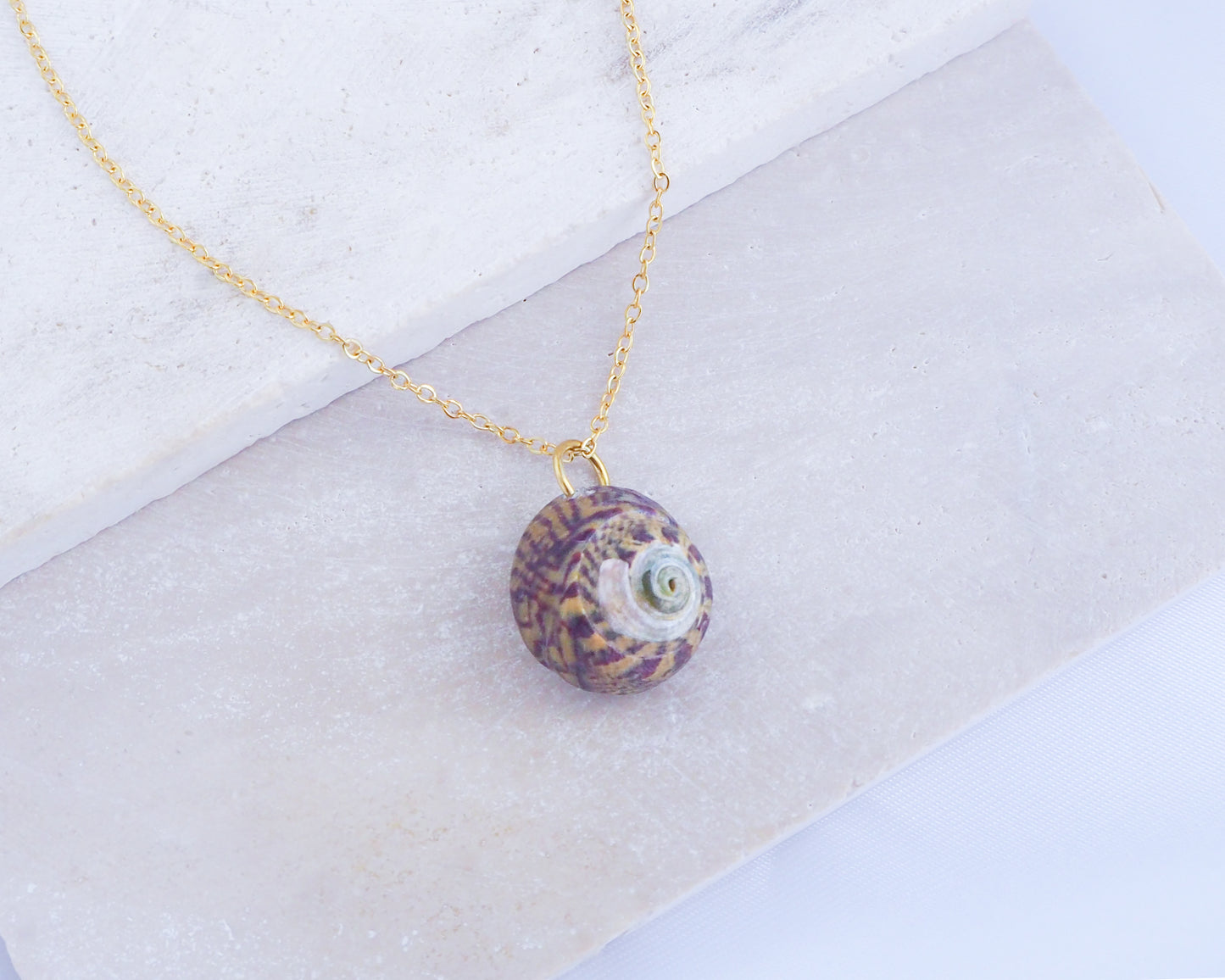 SEASHELL NECKLACE ~ Bordeaux Yellow Striped Top Shell