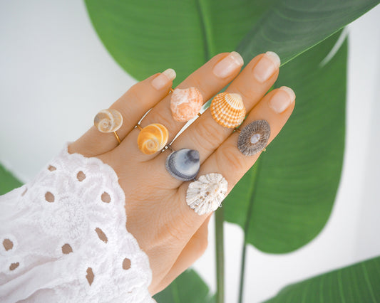 Hand with Seashell Rings from Portugal on each finger with plant background. Made with handpicked shells from the beach of Portugal, mediterranean cockle shell ring, eye of saint lucia gold ring, ring with pink venus shell, limpet shell silver ring, norwegian egg cockle shell ring