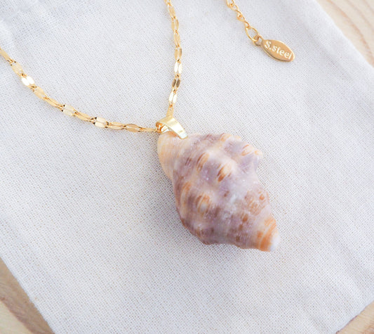 Red mouthed Dog Winkle Shell necklace on display