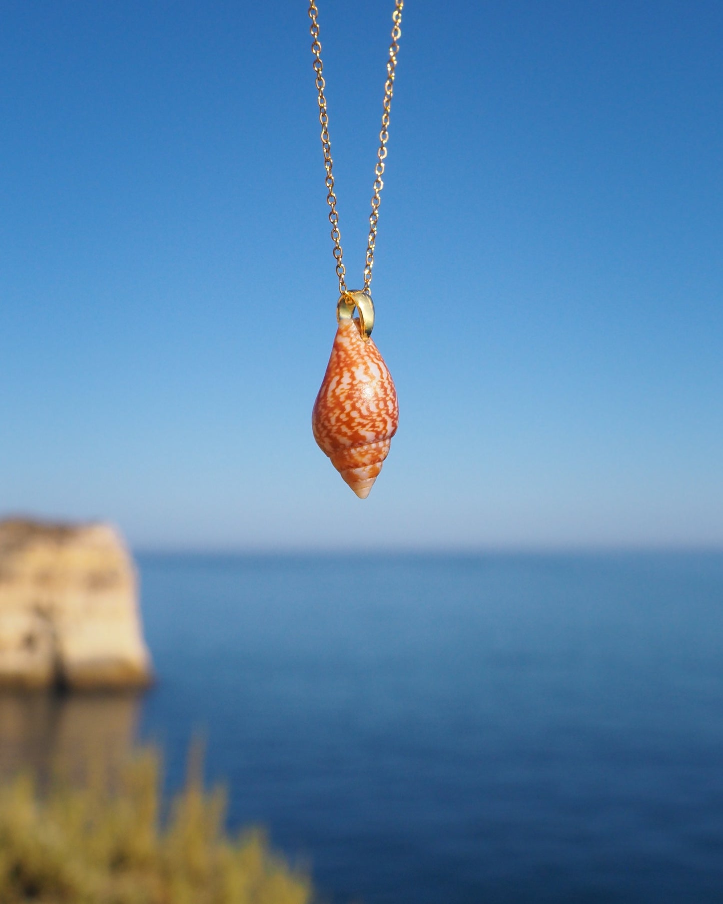 SEASHELL NECKLACE ~ Gold Rustic Dove Shell