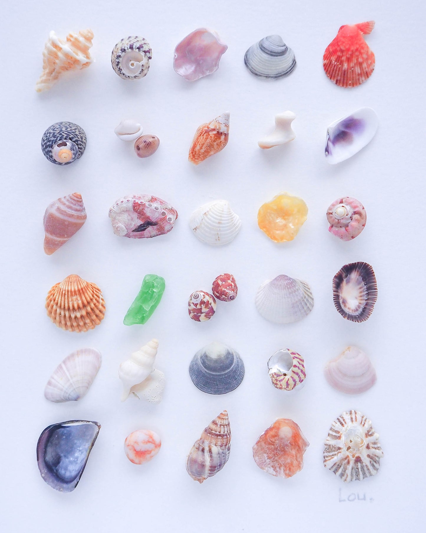 Overall 'Sea summer mix' Artwork Display, sea by lou, A full view of 'Summer of Shells' artwork, adding a coastal touch with its carefully arranged collection of shells and Seaglass