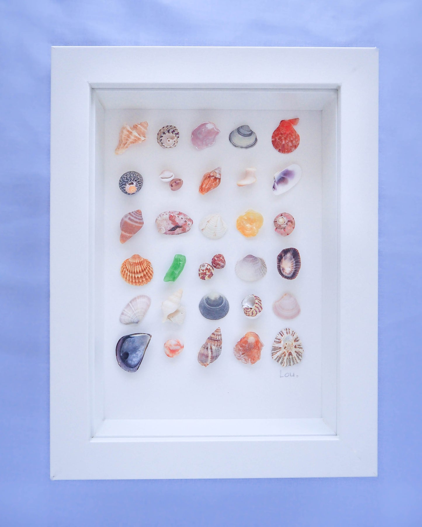 Photo of 'Sea Summer Mix III' Artwork, seabylou, sea by lou, A coastal artwork titled 'Summer of Shells,' featuring 30 meticulously arranged Portuguese shells, including Sting Winkle, Scallop, Topshell, and more tiny shells from Portugal