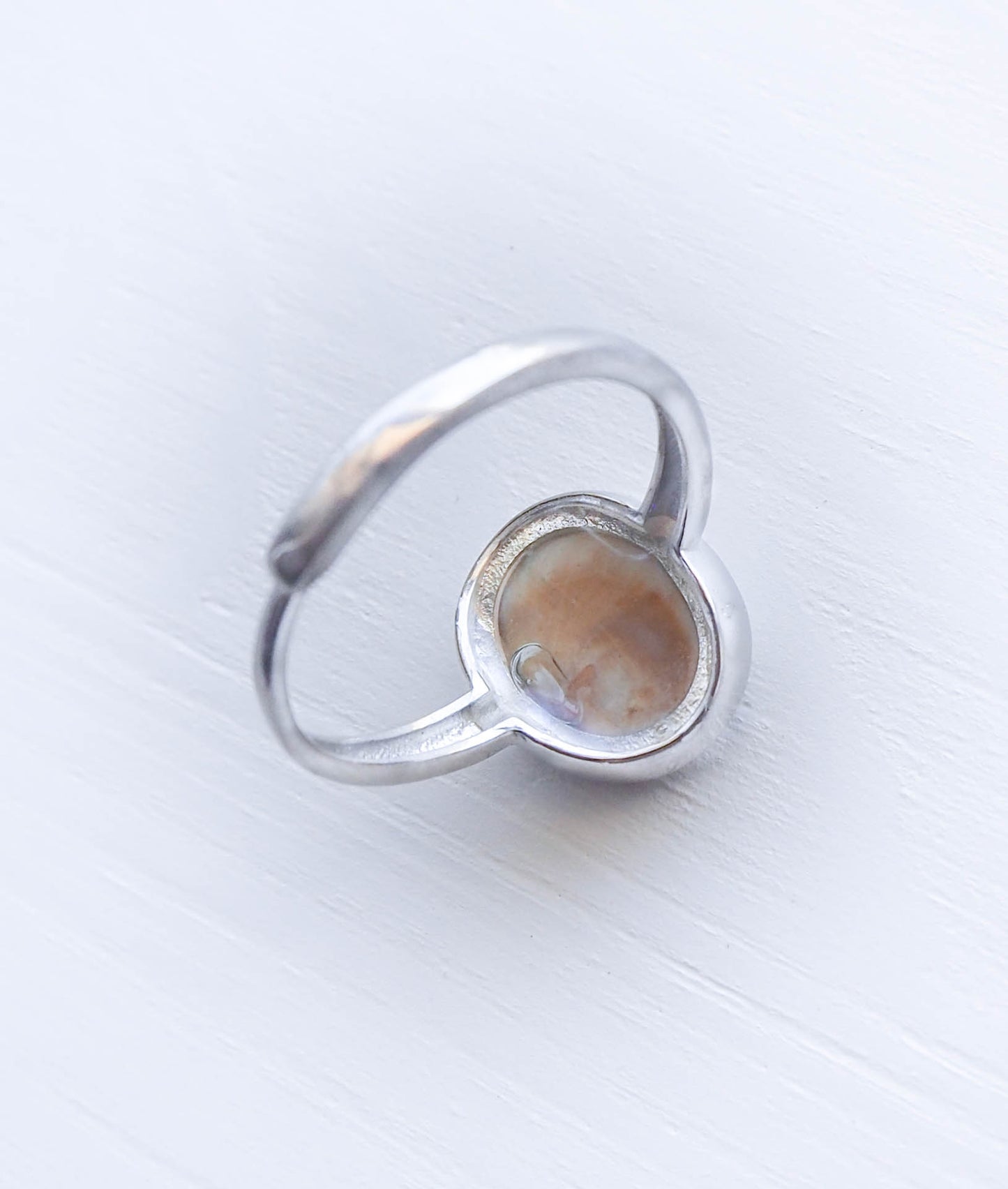 SEASHELL 925 SILVER RING ~ Eye of Saint Lucia