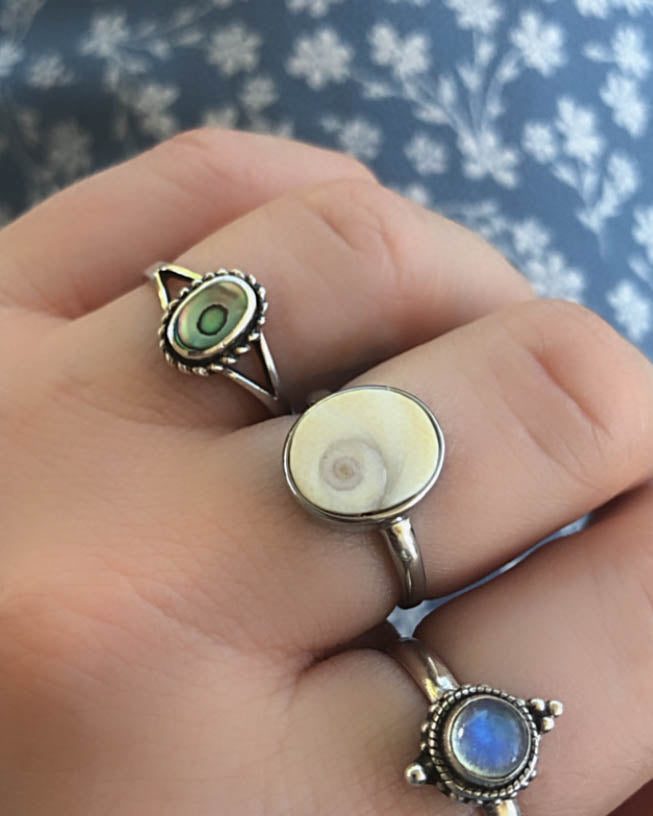 Beach Babe's Delight: Portugal's Eye of Saint Lucia Shell 925 Silver Ring, Seabylou, Saint Lucy's Eye jewelry, Beach Jewelry, Coastal Elegance, Portugal Souvenir, Silver Beach Ring, Ocean-Inspired Jewelry
