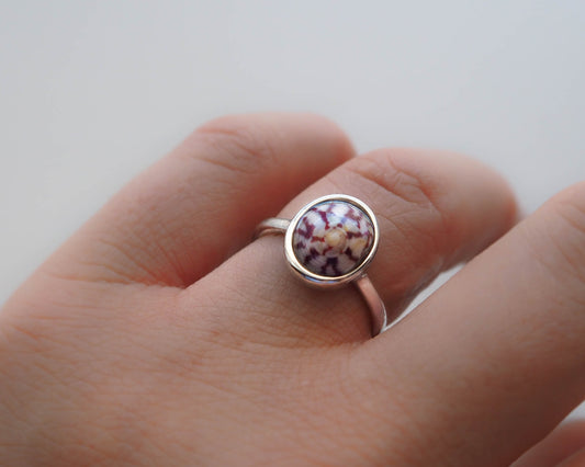 Close-up of Coastal Top Shell Ring, Tiny Top Shell Ring, 925 Silver Jewelry, Portugal Beach Jewelry Sea by Lou