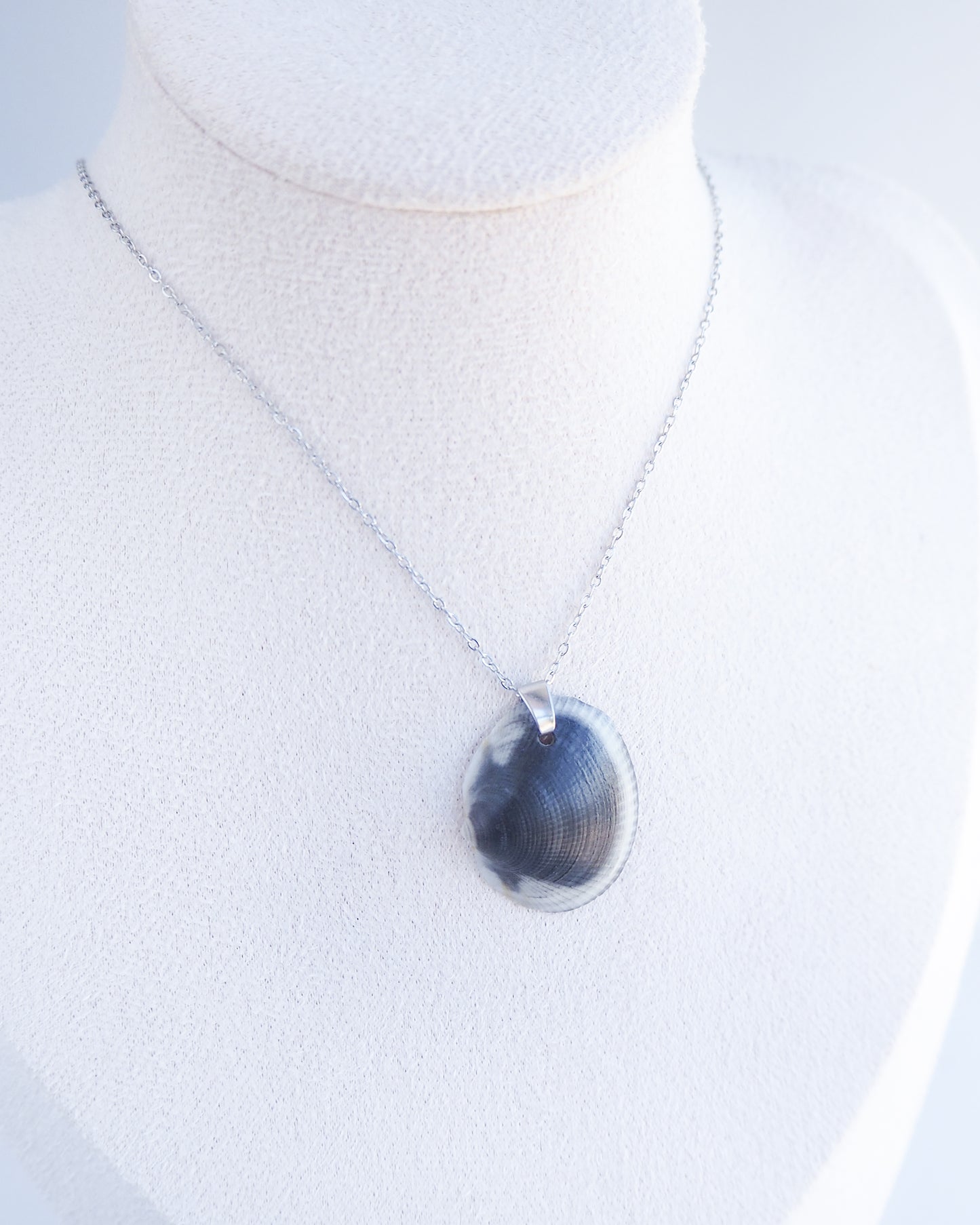 SEASHELL NECKLACE ~ Black White Bittersweet Clam Silver