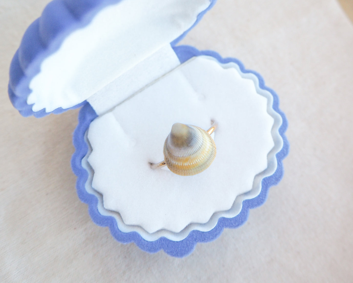 Rainbow Cockle Shell Gold Ring in jewelry box, 18k gold stainless steel adjustable ring, handpicked norwegian cockle shell from Portugal