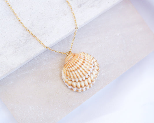 A gold cockle shell necklace made with a Mediterranean Cockle Shell from Portugal on a 18k gold stainless steel chain against a light background. The shell is yellow with white stripes.