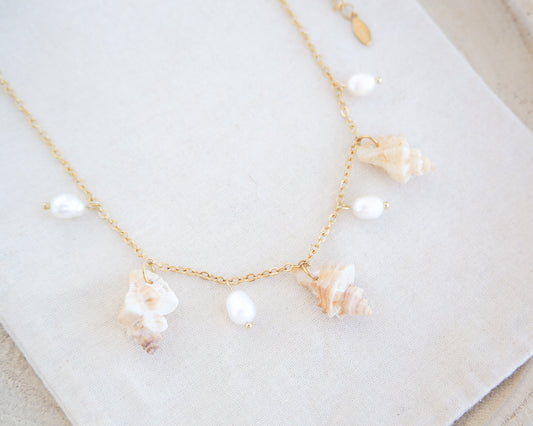 Gold necklace with seashells and pearls on cotton. Portuguese Shell Pearl Charm Necklace with tiny sting winkle shells from Portugal and ivory white Freshwater pearls.
