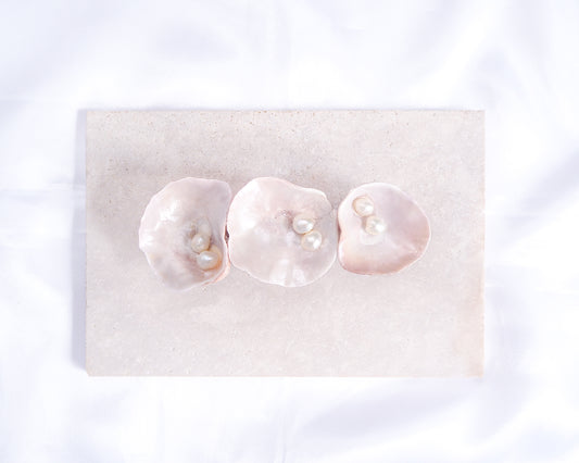 Big Pearl oyster shell hair clip with pearls on a stone displayed. Made with handpicked jingle shells saddle oysters from Portugal. Jingle Shell Pearl Hair clip. pearly shell Hair Clip Barrette on stone displayed, Boho Seashell Beach Clip from Portugal, Handpicked Real Shells, Seashell Hair Decoration, Bohemian Seashell Wedding Hair accessories, Coastal Christmas gift, Beach Wedding Hair