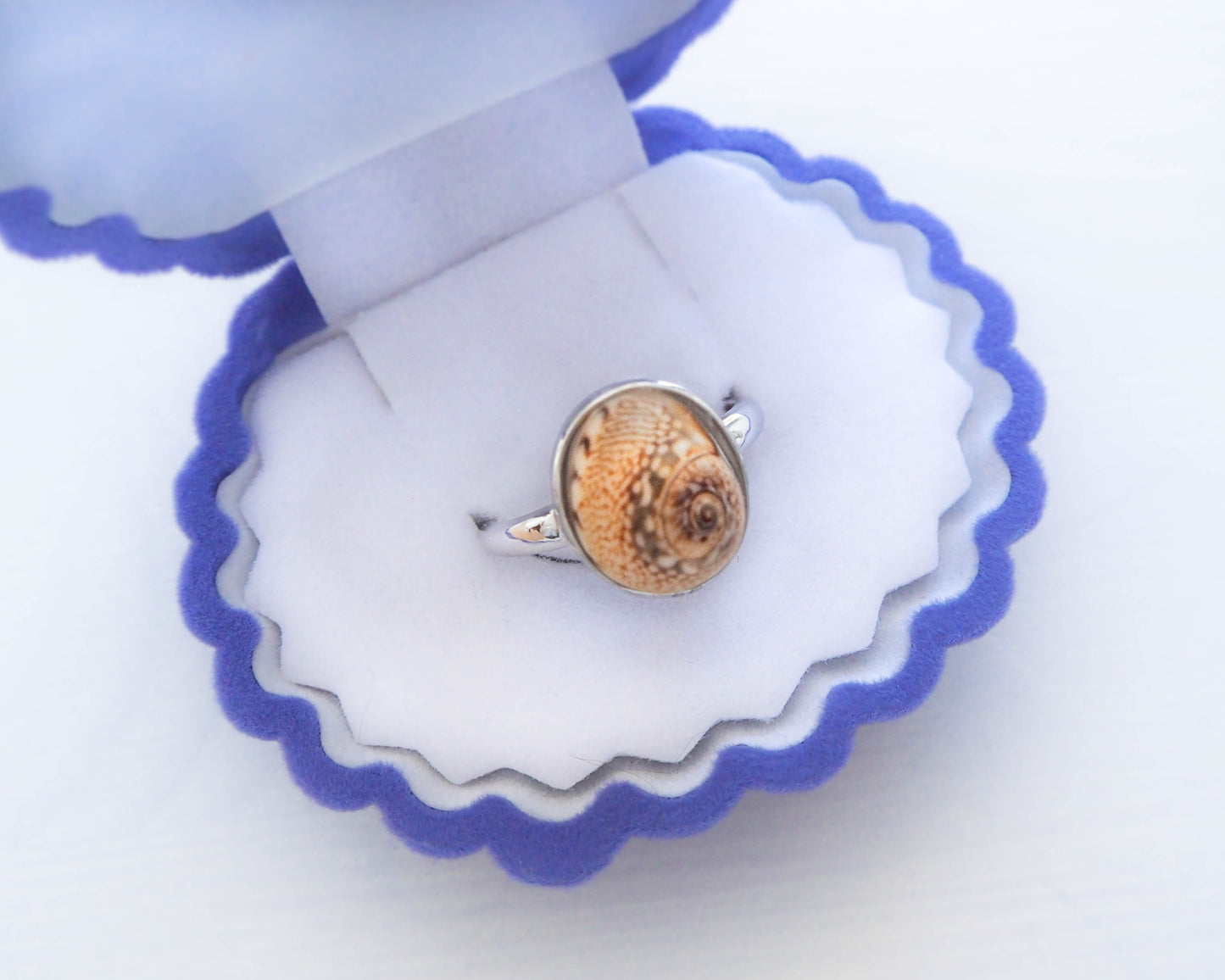 Tritia Neritea Shell Adjustable 925 Silver ring