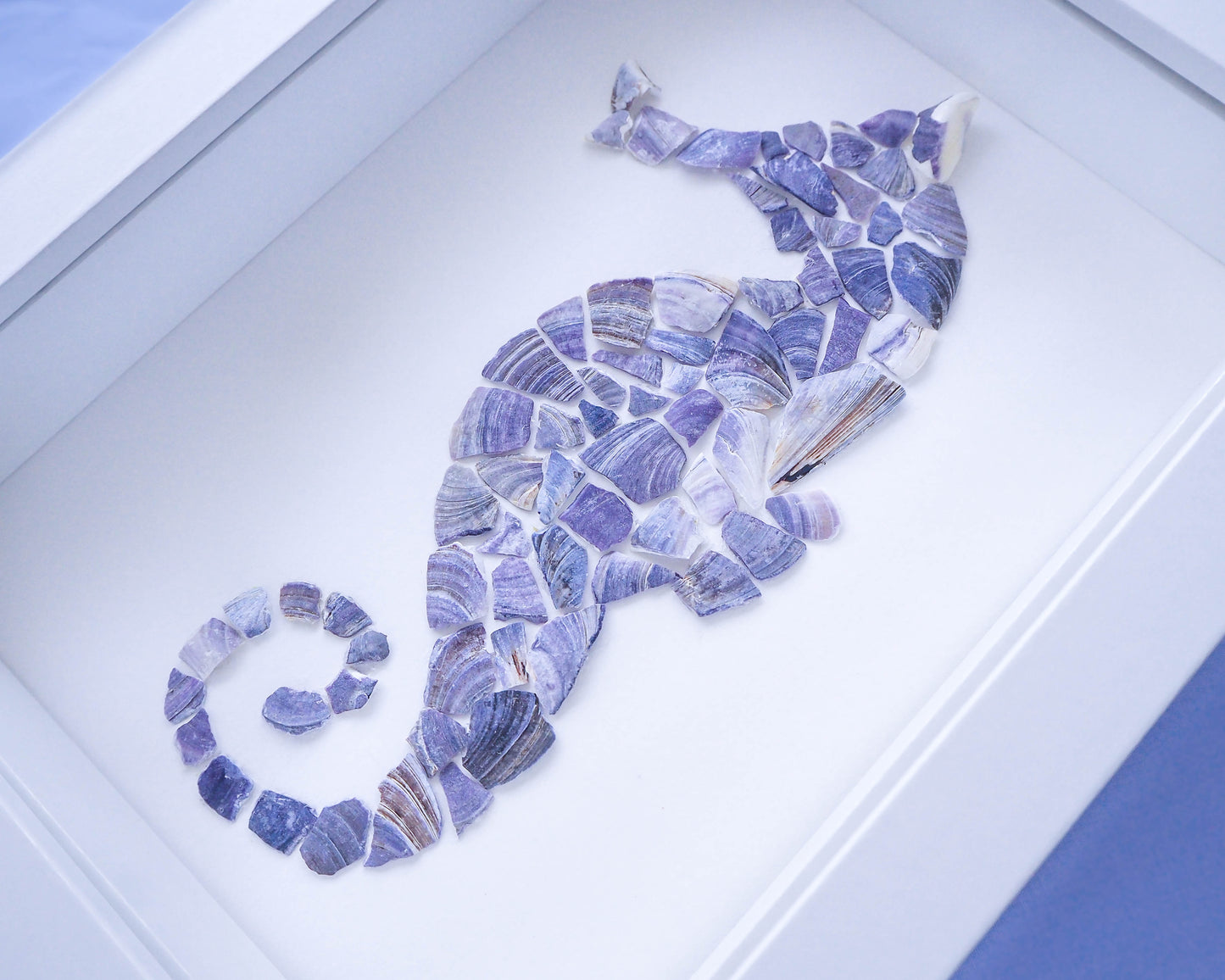 Right view of seahorse mussel shell artwork created by Sea by Lou