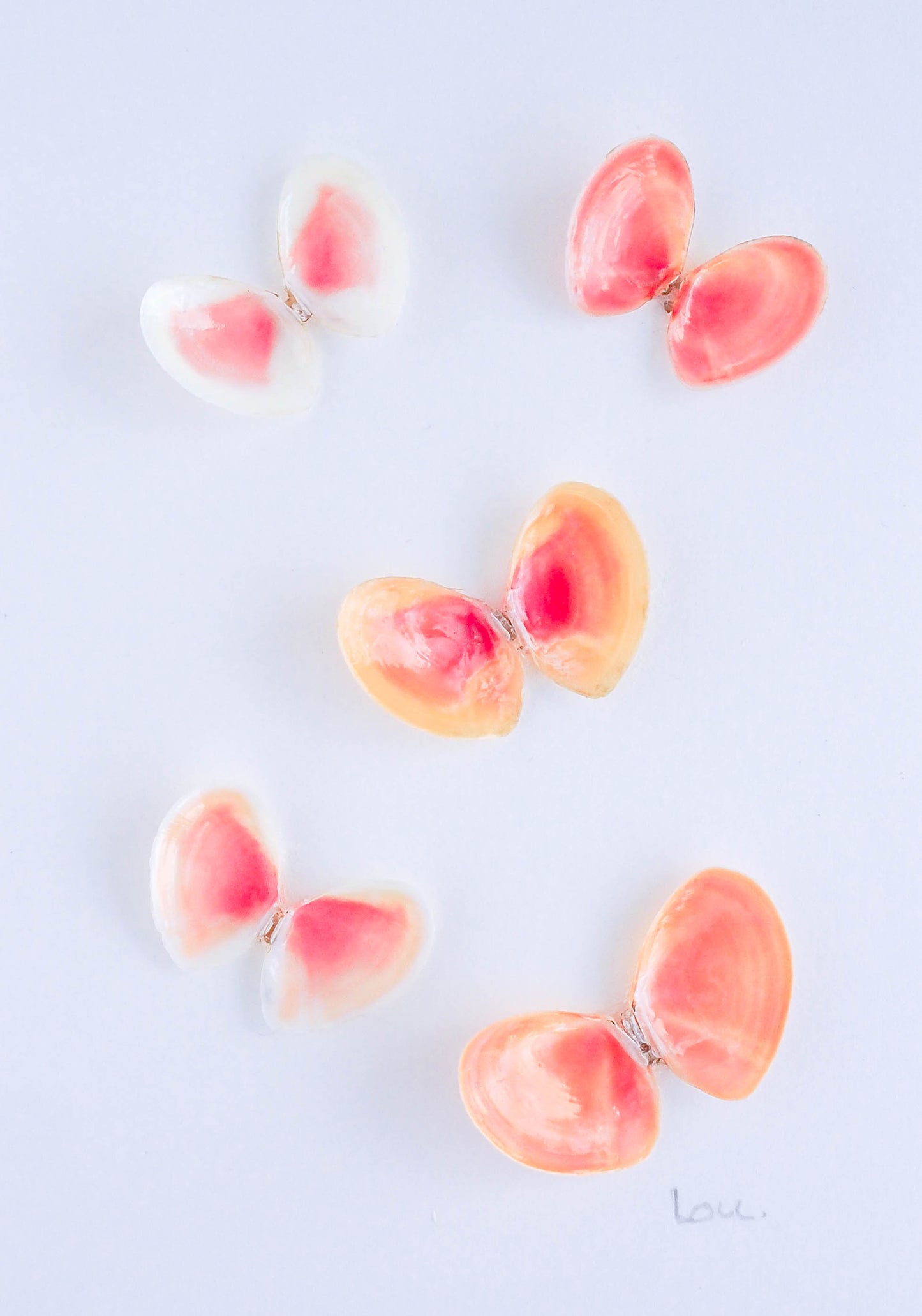Seashell Coral Butterflies in frame coastal artwork from Portugal, Coastal Decor Sea by Lou, Seabylou