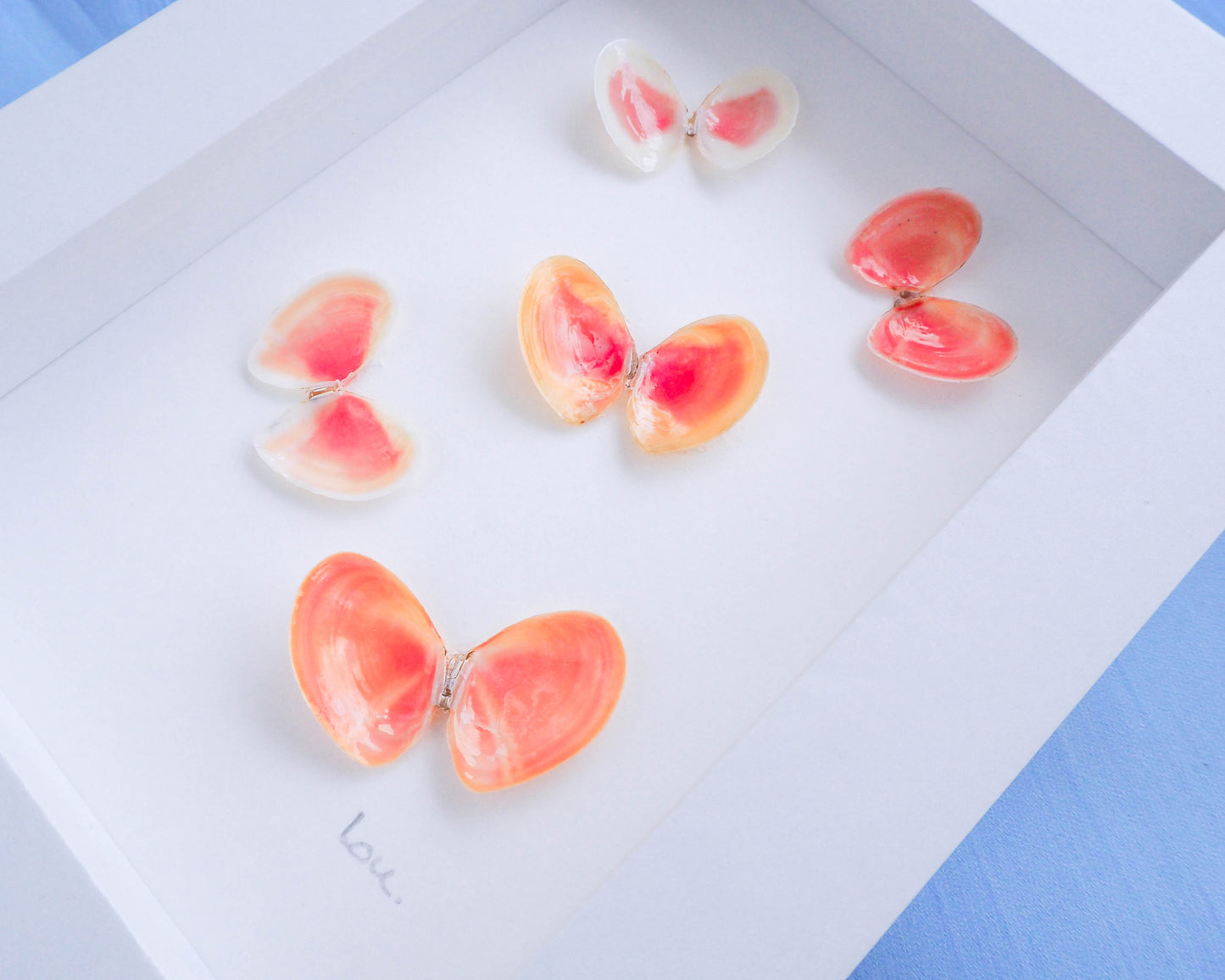 Shell Butterfly Artwork, Coastal Decor: Beach Inspired Decoration: Seabylou: Coral Thin Tellin Shells: Real Shell art