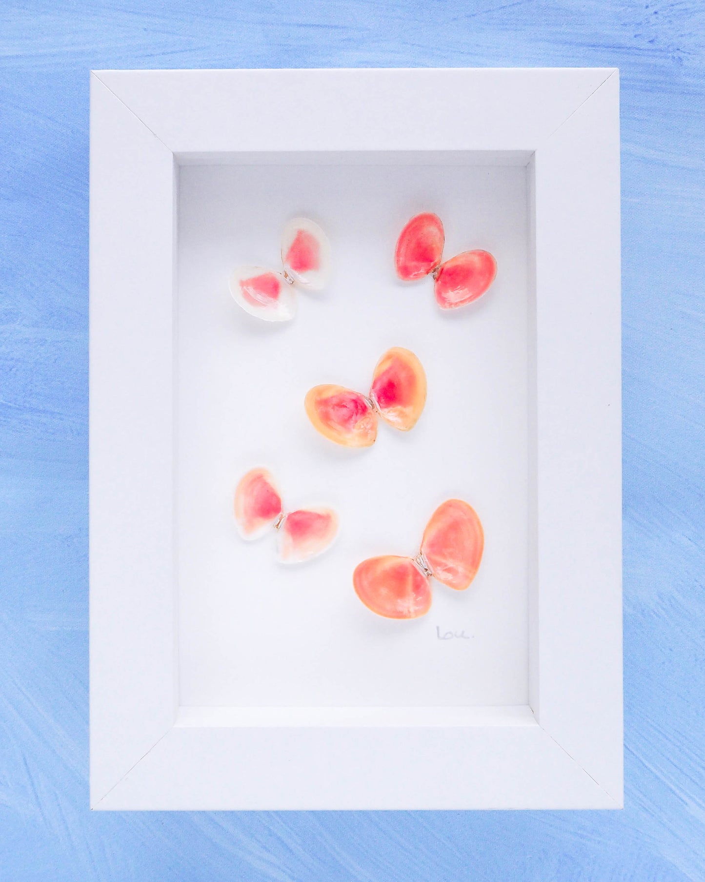 Seashell Butterflies, Shell butterfly art from Portugal, Coral Thin Tellin Shells butterfly artwork, seabylou, Sea by Lou, Coastal shell decor, artwork with shells