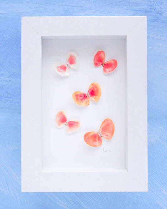 Seashell Butterflies, Shell butterfly art from Portugal, Coral Thin Tellin Shells butterfly artwork, seabylou, Sea by Lou, Coastal shell decor, artwork with shells