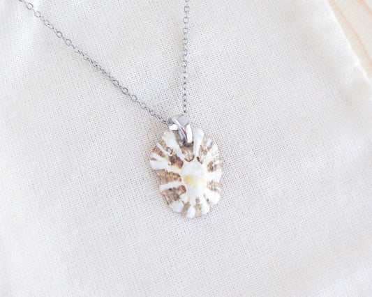 Tiny Limpet Shell from Portugal with Silver Necklace, Sea by Lou jewelry